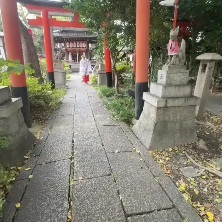 神社で働く清らかな巫女が舞を披露♡
部屋に呼ばれた巫女は自分の全てを奉納します❤️
清らかな姿でちんこをしゃぶり、騎