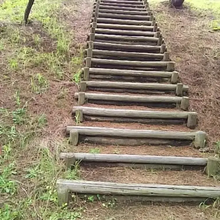 取り柄のない露出散歩でした。