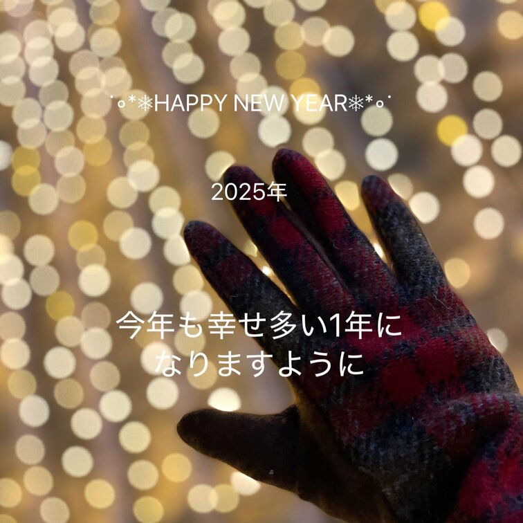 新年明けましておめでとうございます🌟
2025年も皆さんにとって幸せいっぱいな1年になりますように
今年もマイペース
