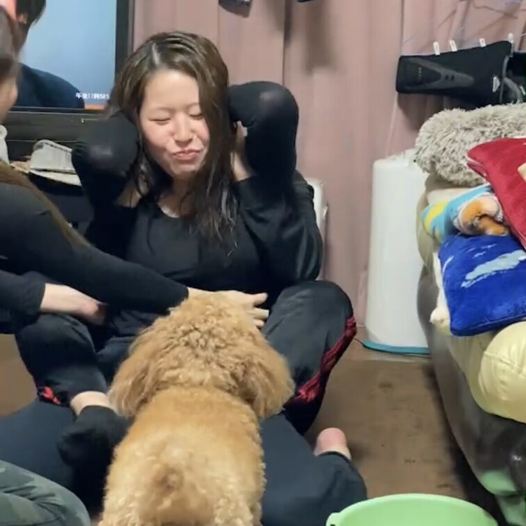 皆様いつもご購入ありがとうございます☺️
今回のくすぐり動画はこちらです👍

是非見てあげてくださいね(  ˆОˆ
