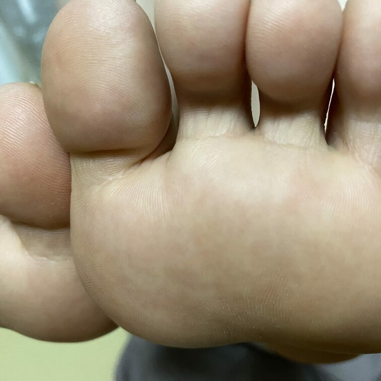 おうちの安心感(*_ _)zzZのあんよ🐾ᵕ̈