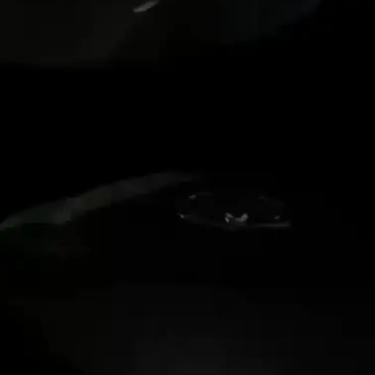 雨凄い…