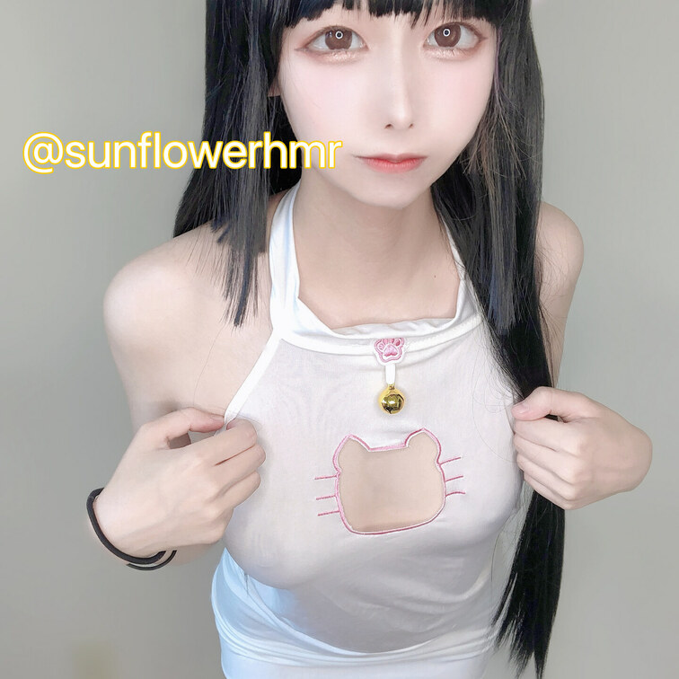 今日はすけすけしろねこちゃん🐱