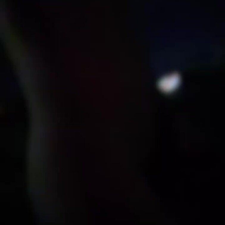 初公開 露