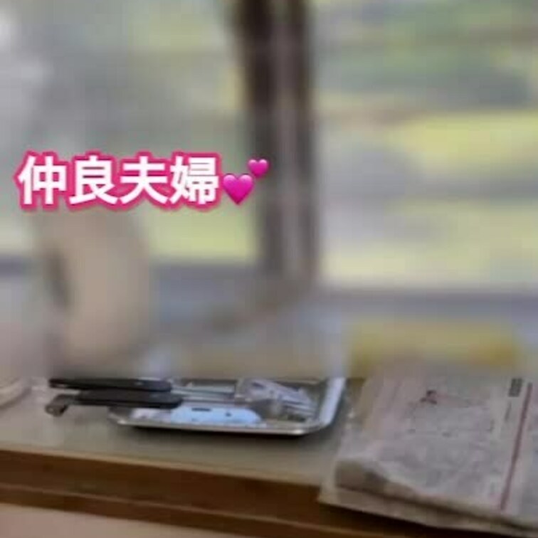 キャンプコテージ！
朝食の支度途中‼️
友人達が来る前にフェラチオ❗️
妻の雰囲気がわかる動画です。
