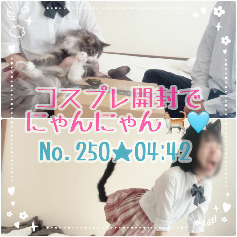 コスプレ開封でにゃんにゃんしました🐈🩵衣装開封動画です✨実は色違いもあるんだよ〜🖤🩵もう一つはまだ出してないので、今月し
