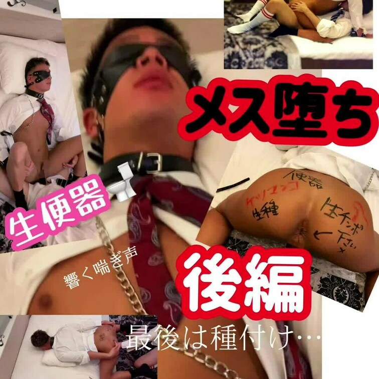 いよいよ教育も後半戦。