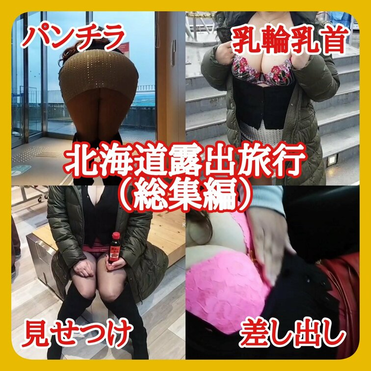 【総集編】（単品購入用）
北海道露出旅行の総集編です
・展望台までの階段でパンチラ
・ロープウェイでこっそり露出