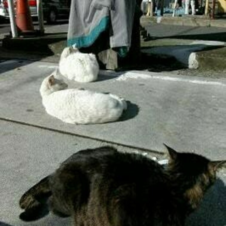 築地