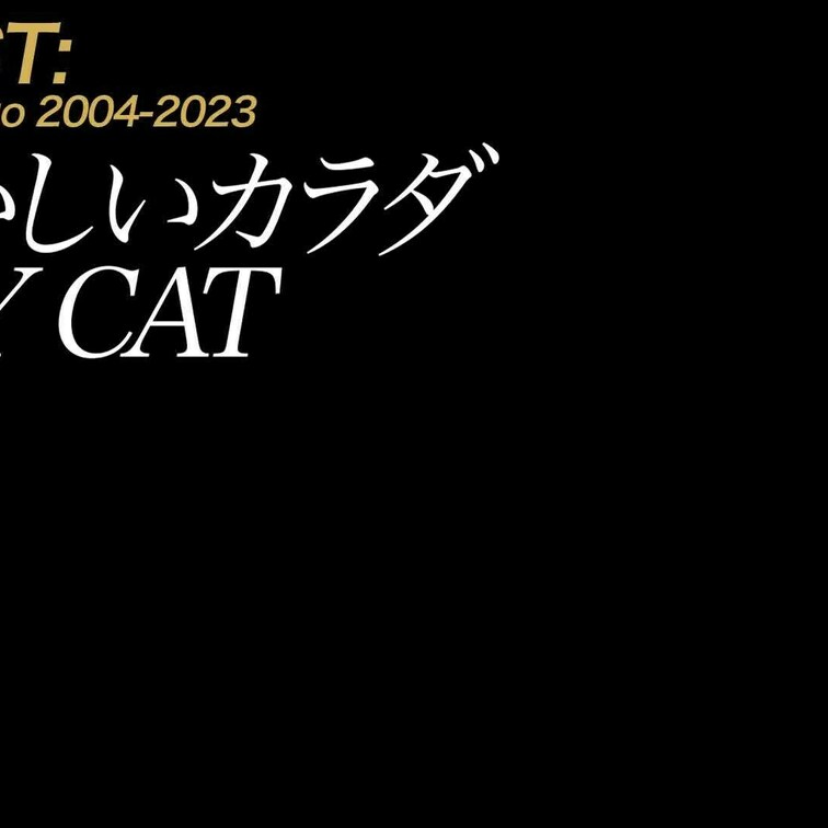 【切り抜き】恥ずかしいカラダ PUSSY CAT さき
スレンダーボデイに綺麗なお椀型おっぱいを持つさきさん。そんなに