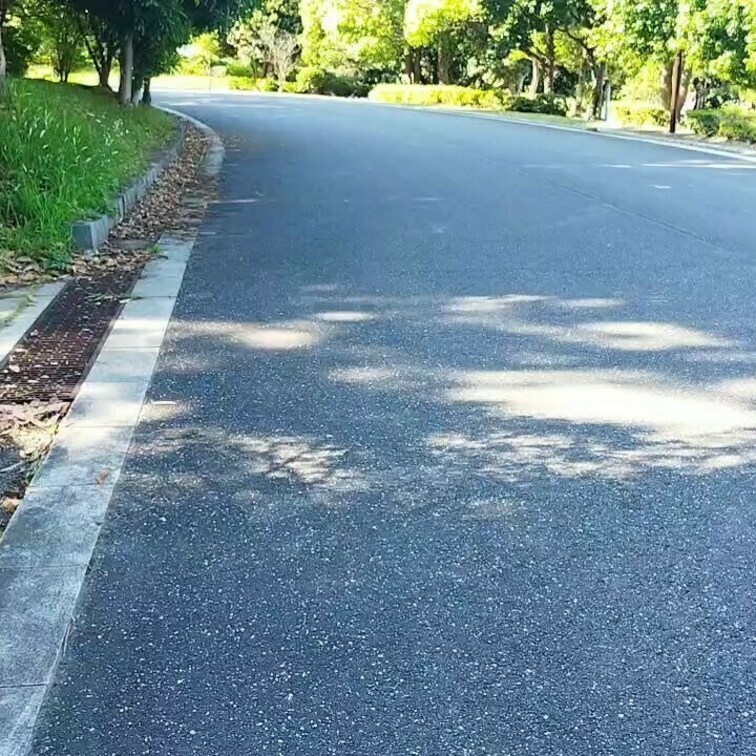 都内某公園
平日の昼間のある日