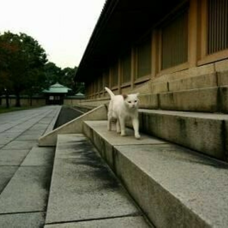 お寺