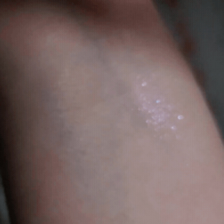 じふてすと