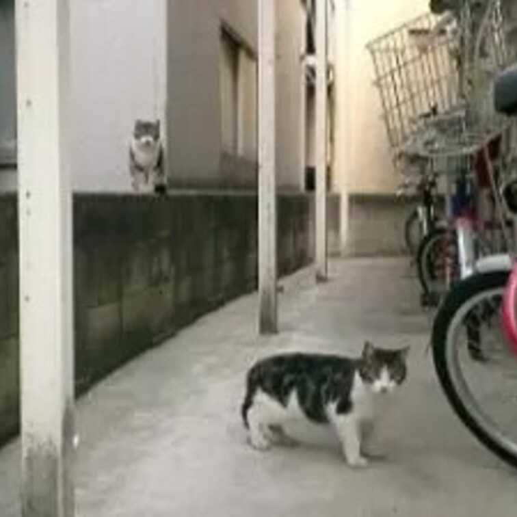 昔住んでた部屋のドアを開けたところ
