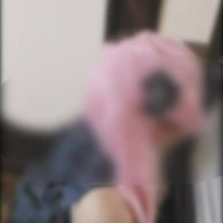 フェラしながらしこしこしちゃうの気持ち良すぎます❤