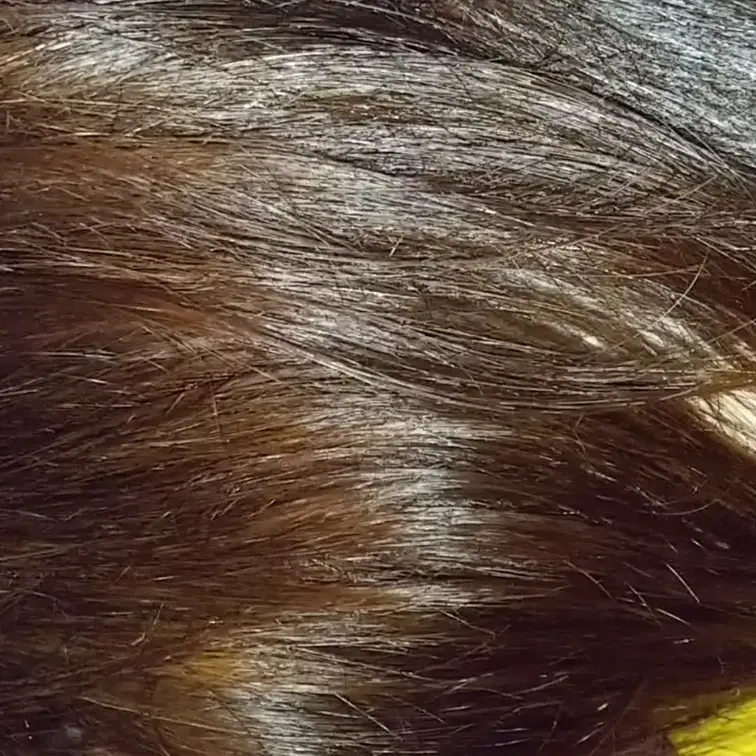 妻の髪の艶の動きを楽しむ動画です。
短いですが、楽しんでいただけたらと思います。

#髪フェチ
#妻
#髪
