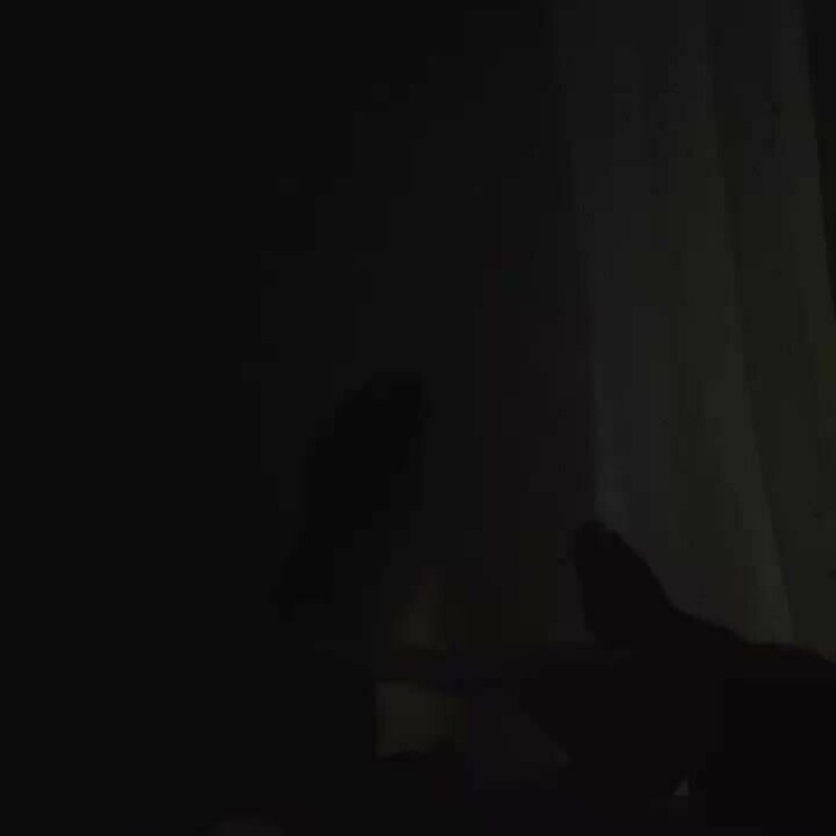 寝る前に🌙