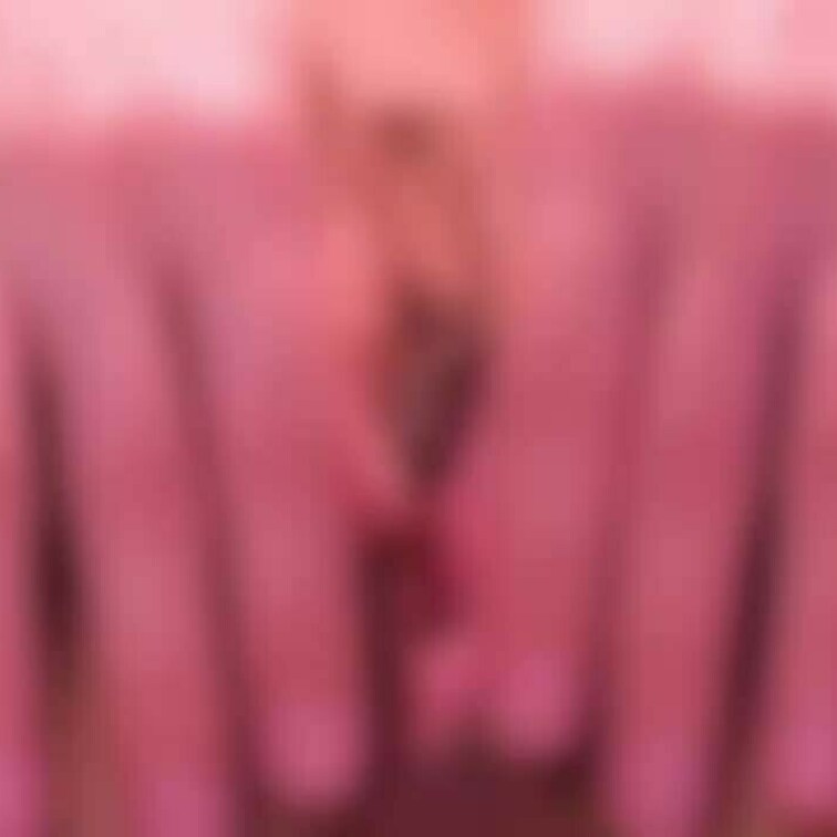 ドアップモザイク薄めオナニー