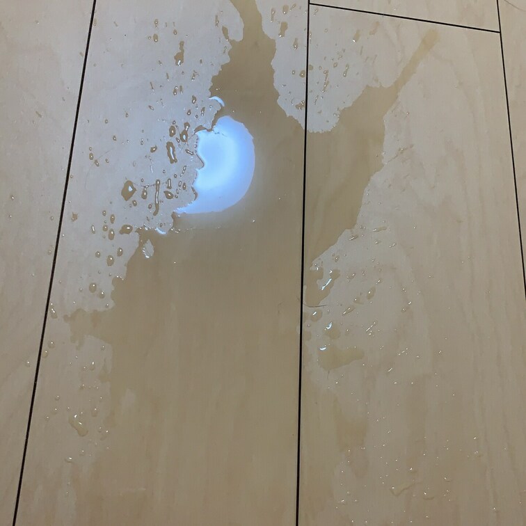 おしっこ
後片付けいつも大変💦