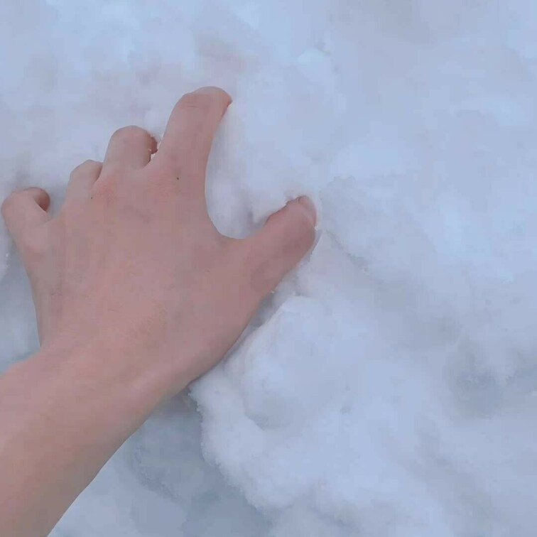 お手手･:*+.\(( °ω° ))/.:+