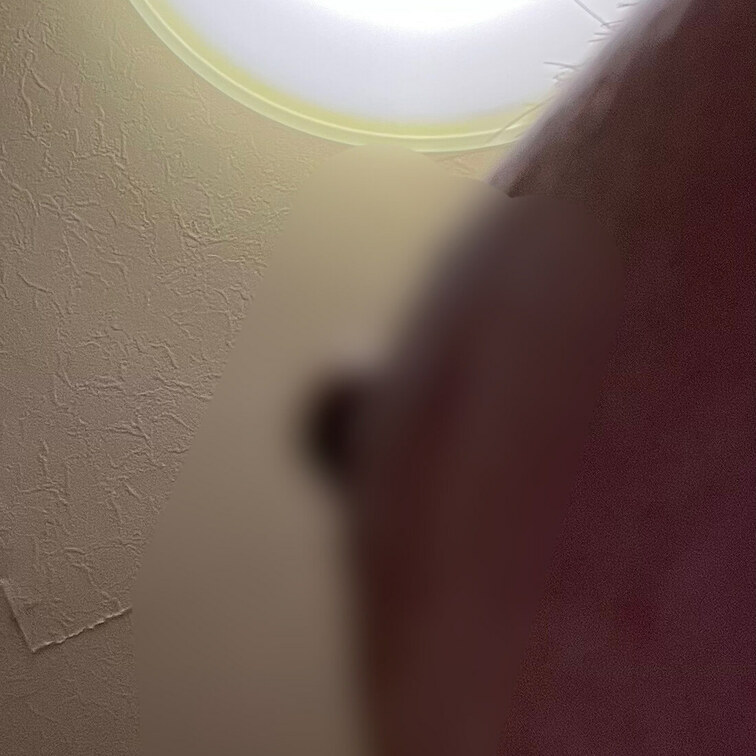 あとで動画上げますが、こんなに立っちゃいました…