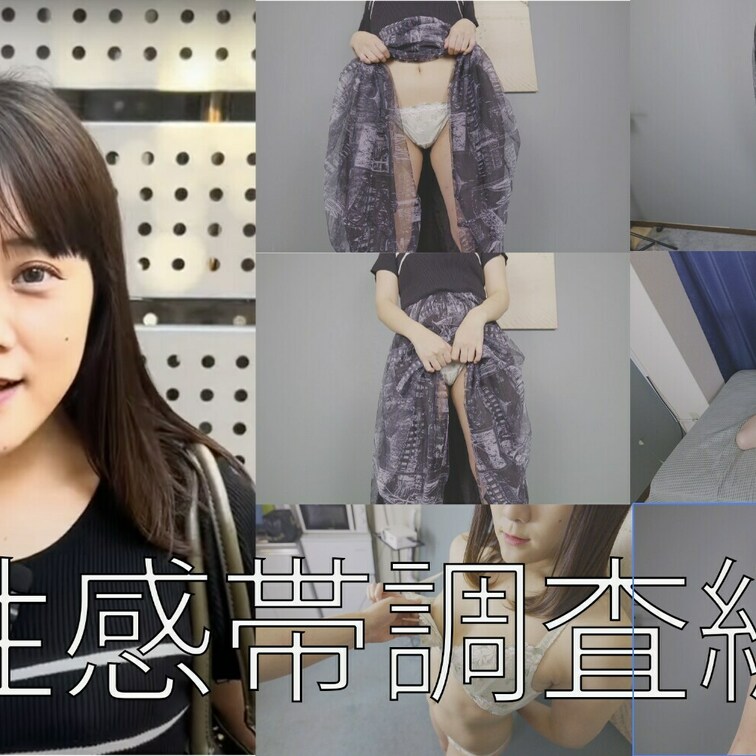 性感帯調査編