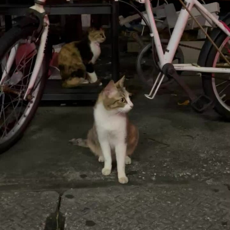 テスト
テスト