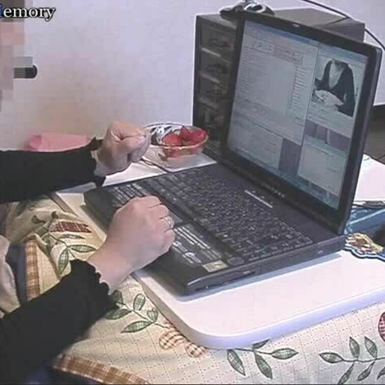 昔・・・ヤフーチャットと言うのが有名な検索サイトYahooにありました。そこで公開している女性を「姫」ひめと呼んで賑わっ