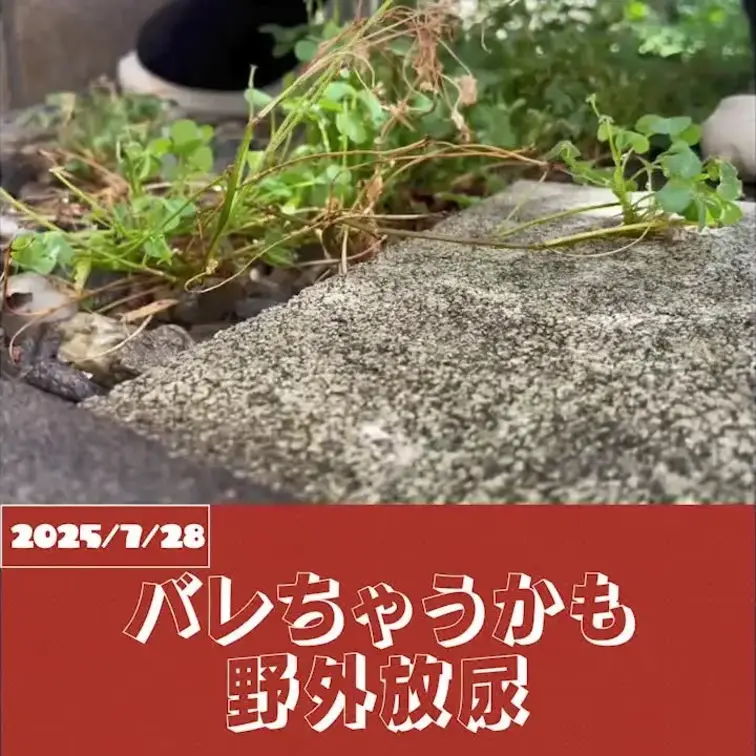 2025-7-28
「バレちゃうかも…外でガマンできなかった」
誰かに見られてるかも…そんなスリルの中、ついに我慢で