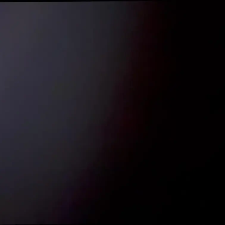 投稿