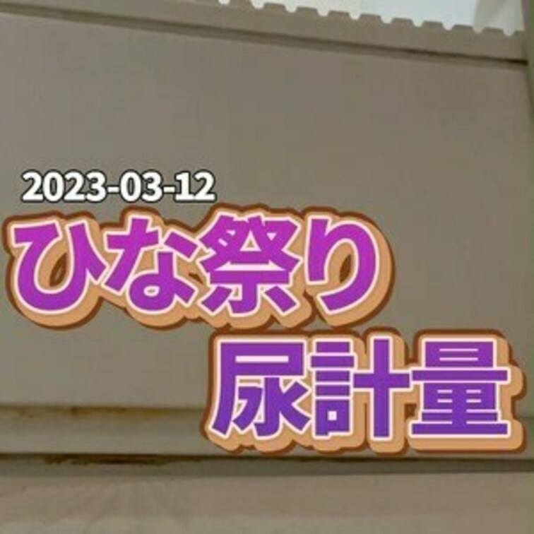 🎎ひな祭りの日に尿計量🎎
３月３日はひな祭り🎎🍡🌸
そんな日の朝におしっこ測量しちゃってました💕
この動画は、BL