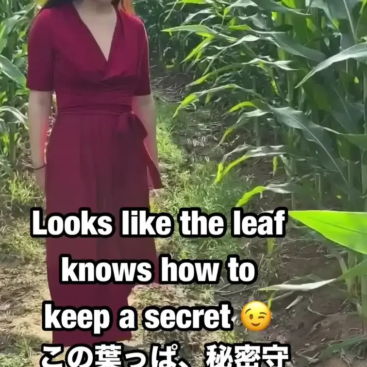 あら？また葉っぱが視界を邪魔しましたか？🌿