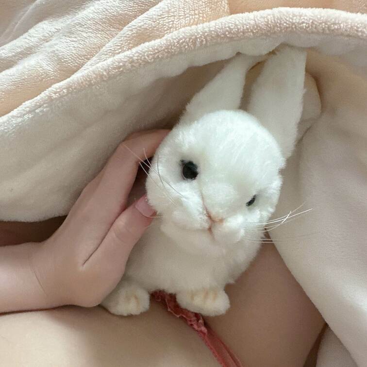 うさぎさんかわいい🐰🐰🐰💕
めろゅもうさぎだからよちよちしてね🐰💭💓