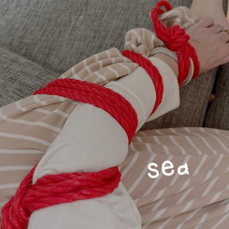 縛る練習に付き合ってます。
新しい縛り方を習得したいそうです。
旦那はハマってるみたい。笑