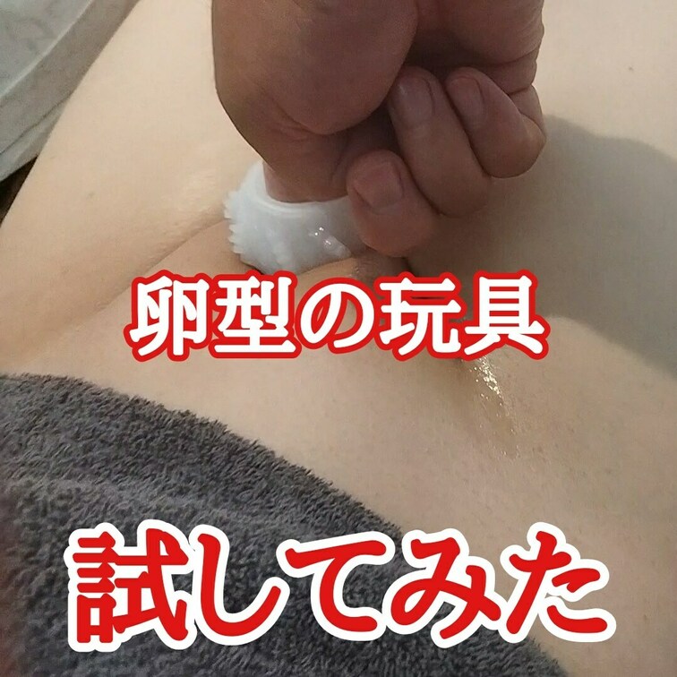 例の卵型の玩具
裏返して試してみた
こんな使い方でいいのかな？