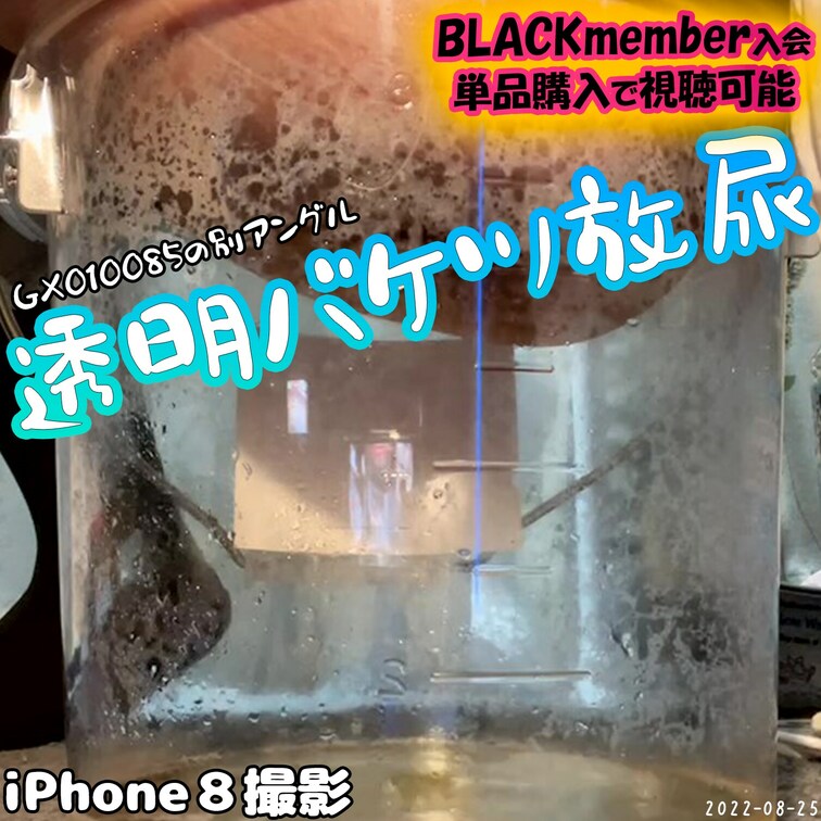 2022-08-25
🔶透明バケツ放尿🔶
GX010085の別アングル動画になります。
iPhone８で撮影したの
