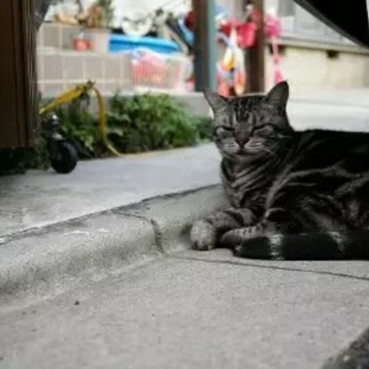 かわいいな