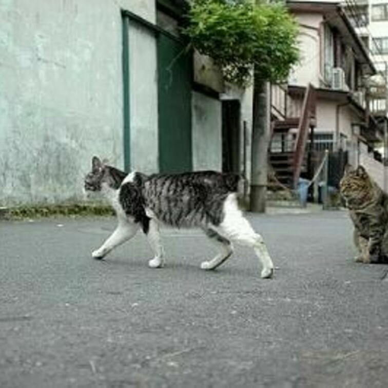 お手掛けですか?
