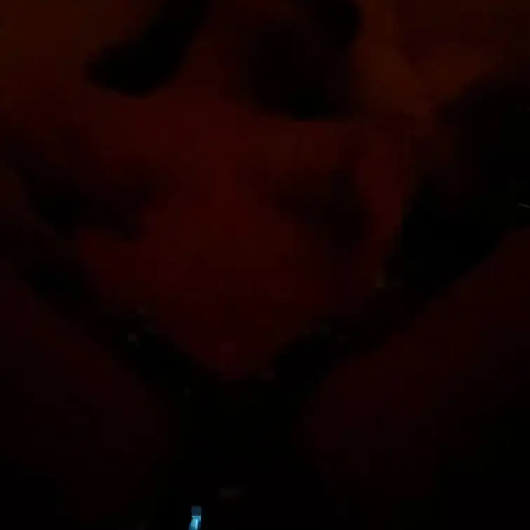 拘束しておもちゃ