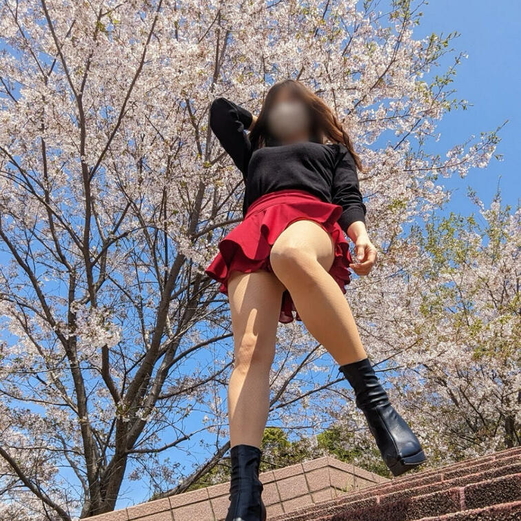 昨日は1人でお花見をしたあと、露出撮影をお願いしていたので、桜の下、ミニスカ×パンストで撮影できました🌸

お花見、