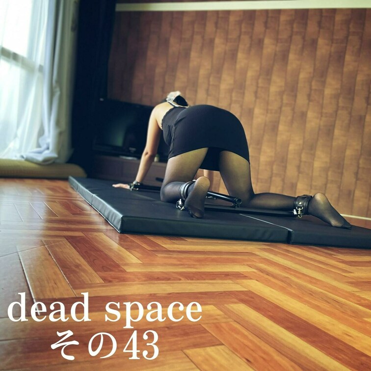 【正式】デッドスペース その４３
[Official] Dead Space Part 43