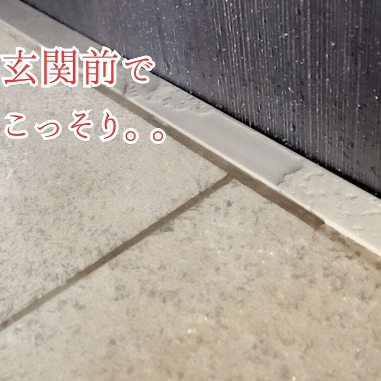 【新居の玄関でこっそり潮吹き。。】

玄関でこっそり...。。
最後人来たかも
