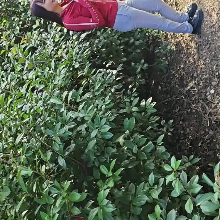 日差しが熱い～🌞💥 
パタパタ全力稼働中です💨😅