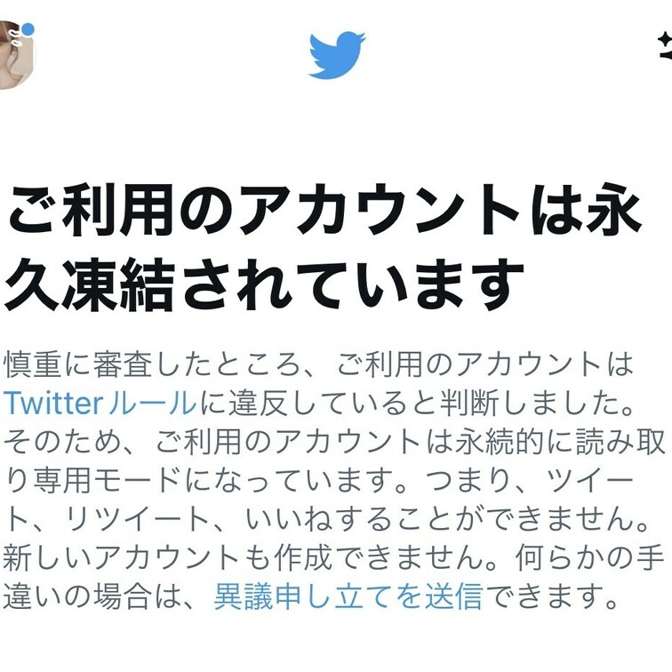 ツイッターアカウント凍結…（ ;  ; ）