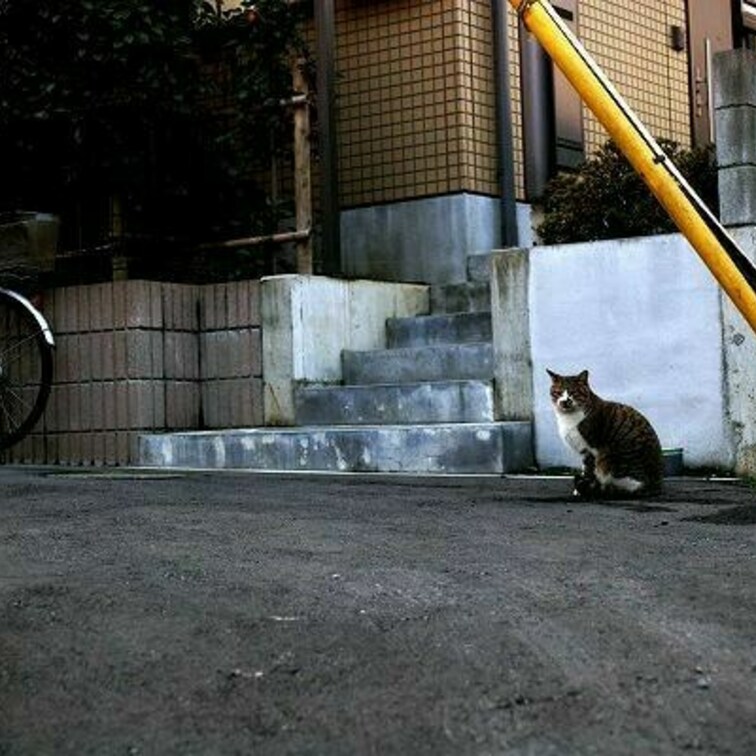 階段のある家の前で