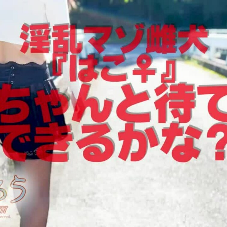 淫乱マゾ雌犬『はこ♀』
ちゃんと待てできるかな？ショート版です
↓ロングバージョンはこちら↓
https://my