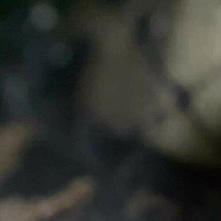 顔そむけられたのむかつくから近くで撮ってもらった😤💢苦しむがいいさ😡