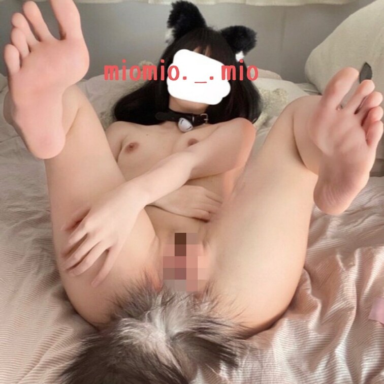 シッポ