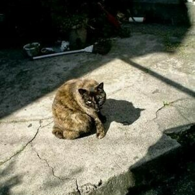 おひけぇなすって