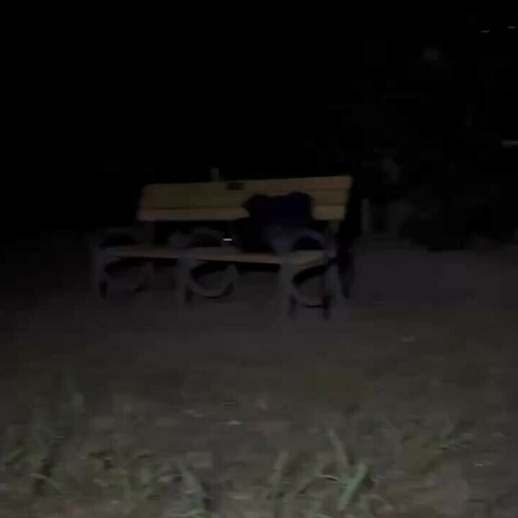 募集でちかんごっこ-29-

夏夜と遊びたい方は、ぜひコメント下さい。
もしくはX (Twitter）のDMを下さ